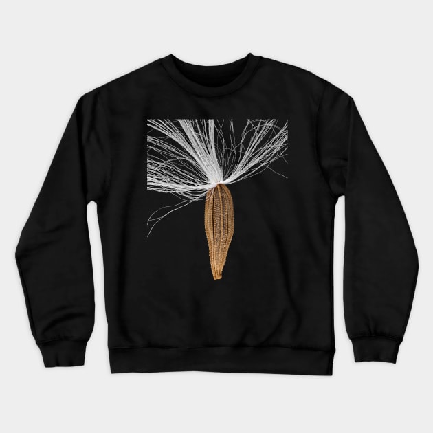 Seed of Lapsana communis, the common nipplewort Crewneck Sweatshirt by SDym Photography